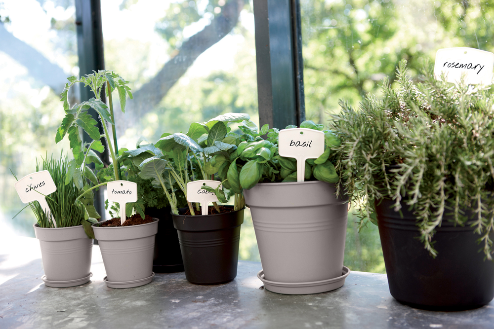 Green Basics Pot De Culture 40