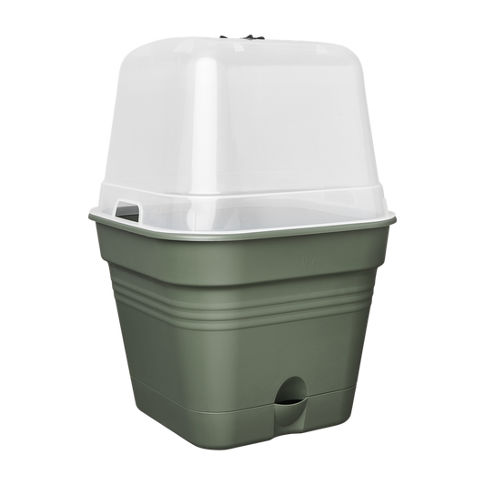 Green Basics Pot De Cult Car Allin1 25