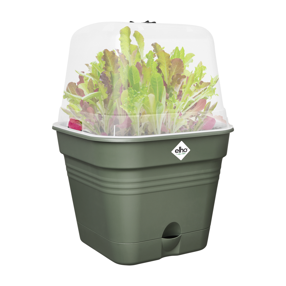Green Basics Pot De Cult Car Allin1 35