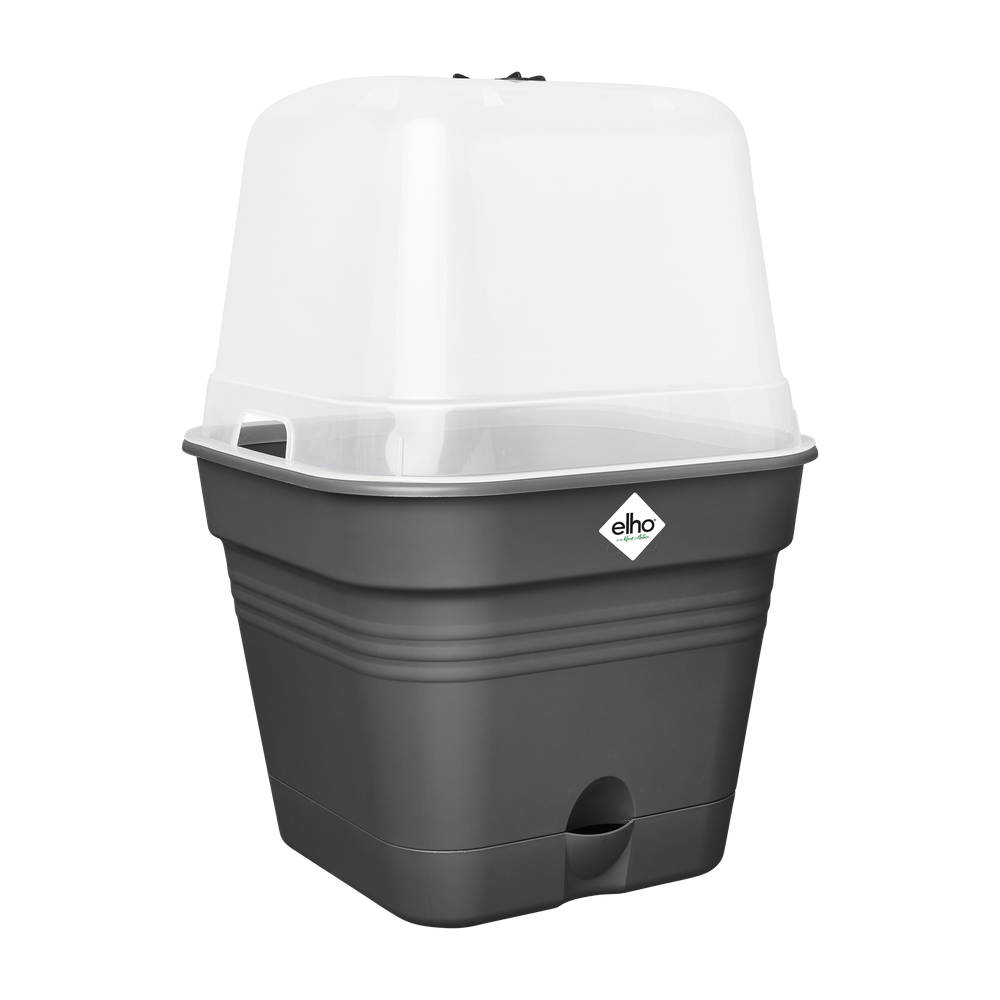 Green Basics Pot De Cult Car Allin1 30