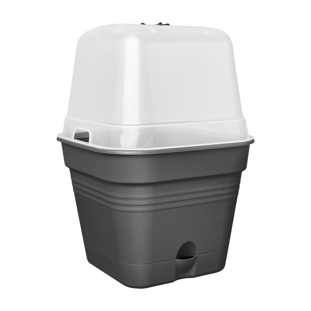 Green Basics Pot De Cult Car Allin1 25