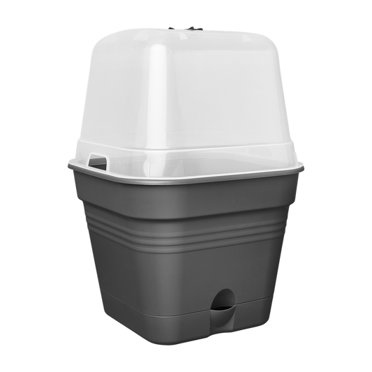 Green Basics Pot De Cult Car Allin1 15