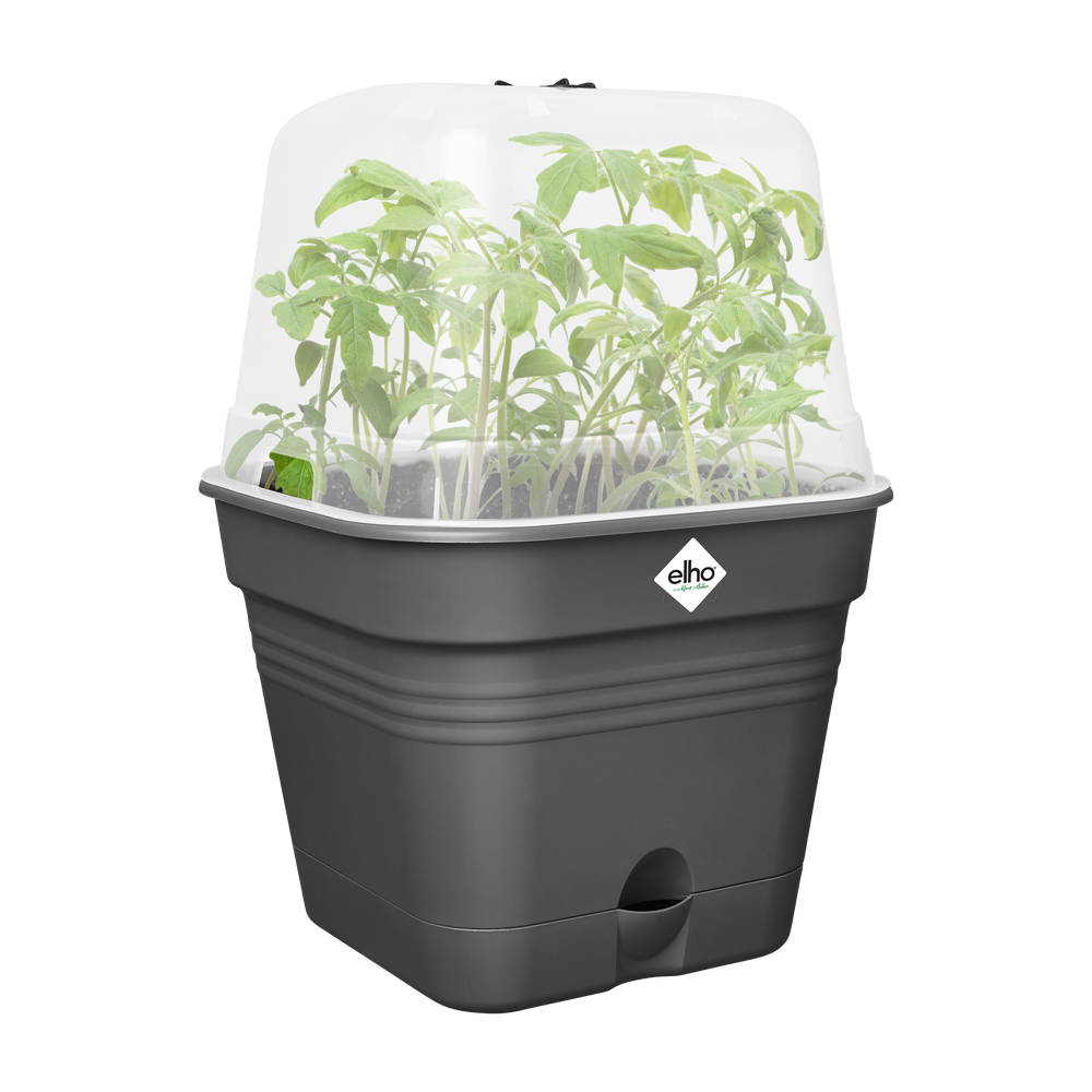 Green Basics Pot De Cult Car Allin1 35
