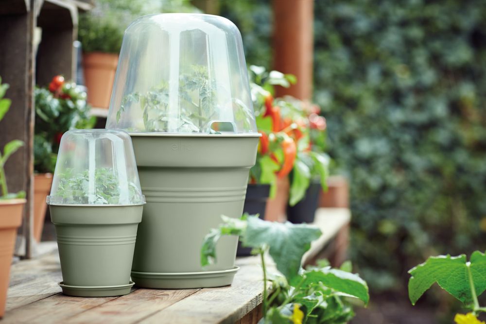 Green Basics Pot De Culture 19