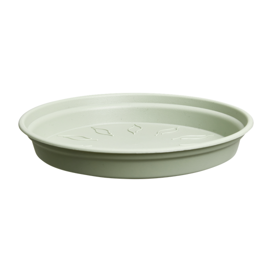 Green Basics Soucoupe 29