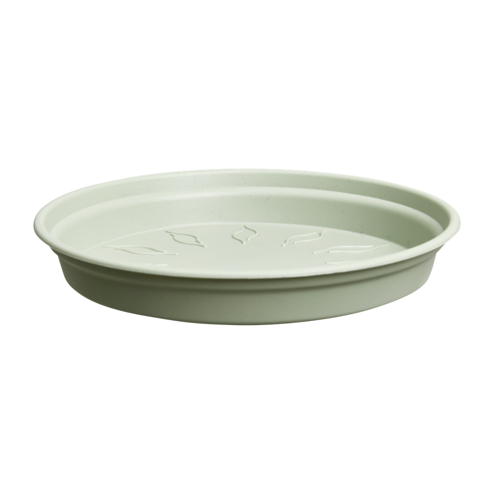 Green Basics Soucoupe 22
