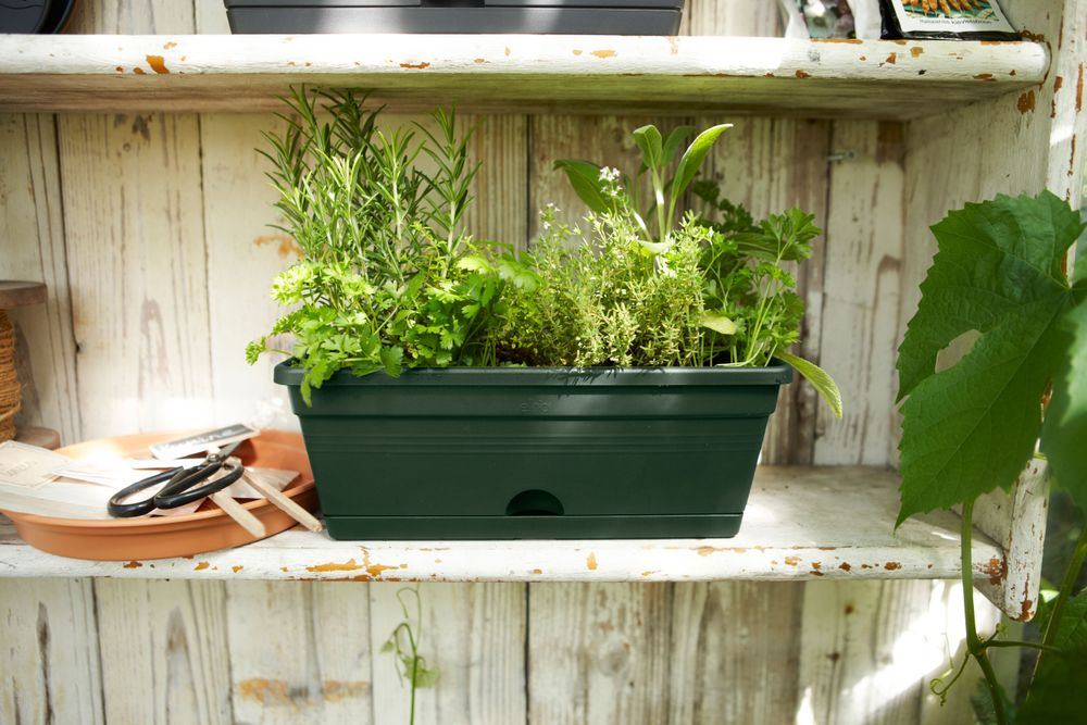 Green Basics Balconnière Mini 30