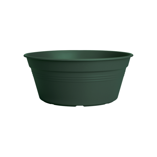Green Basics Coupe 38