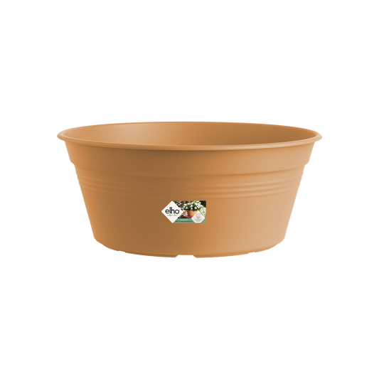 Green Basics Coupe 33