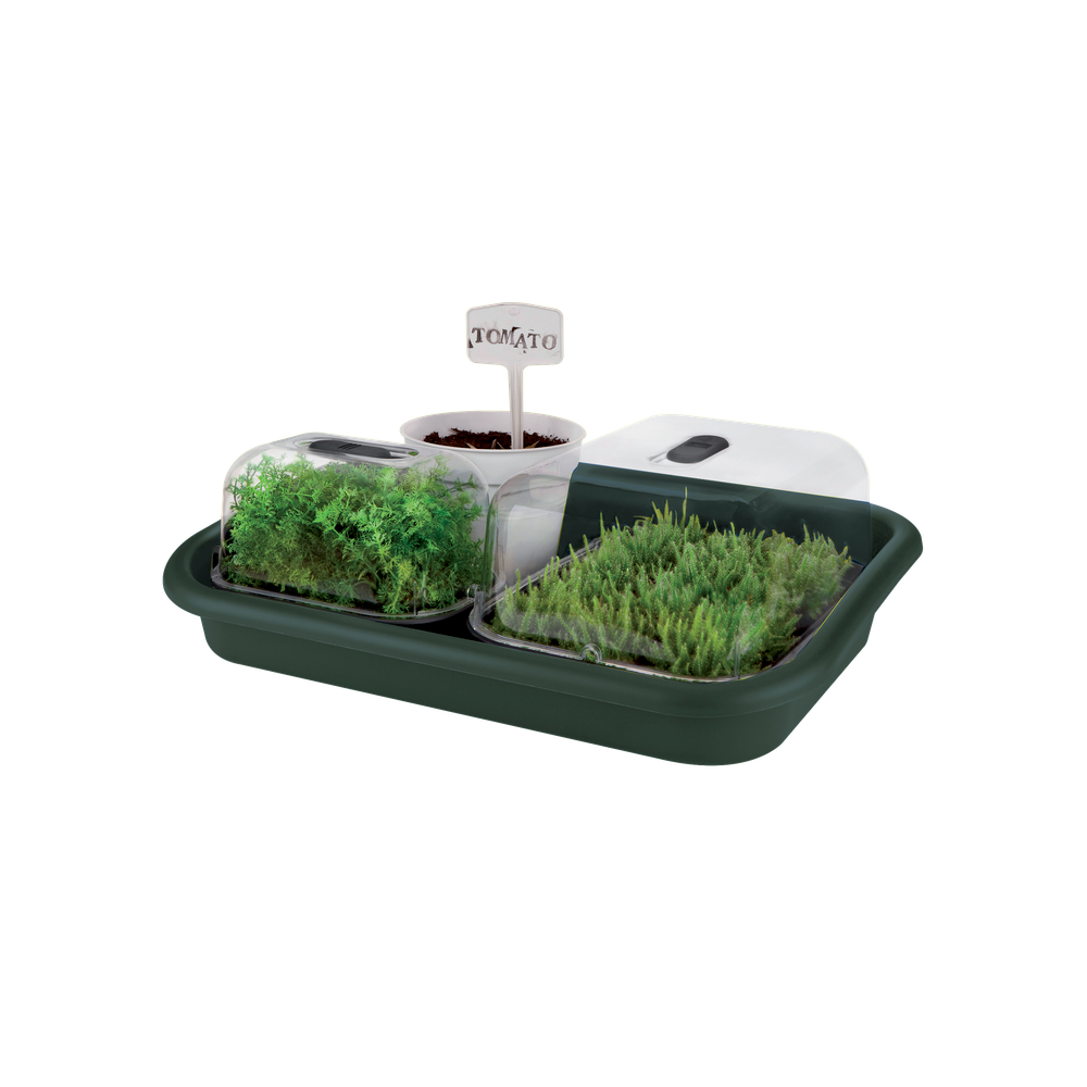 Green Basics Plateau Jardin 59