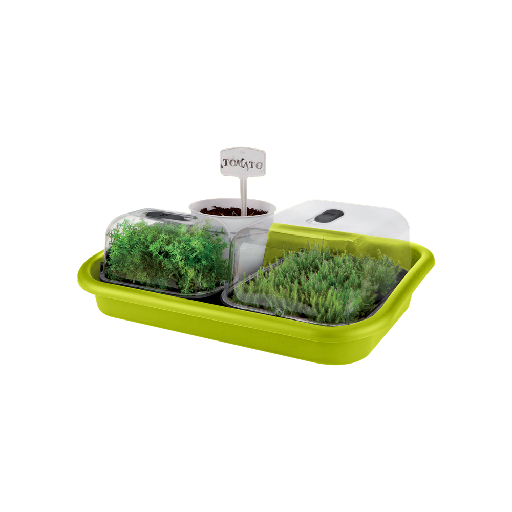 Green Basics Plateau Jardin 59