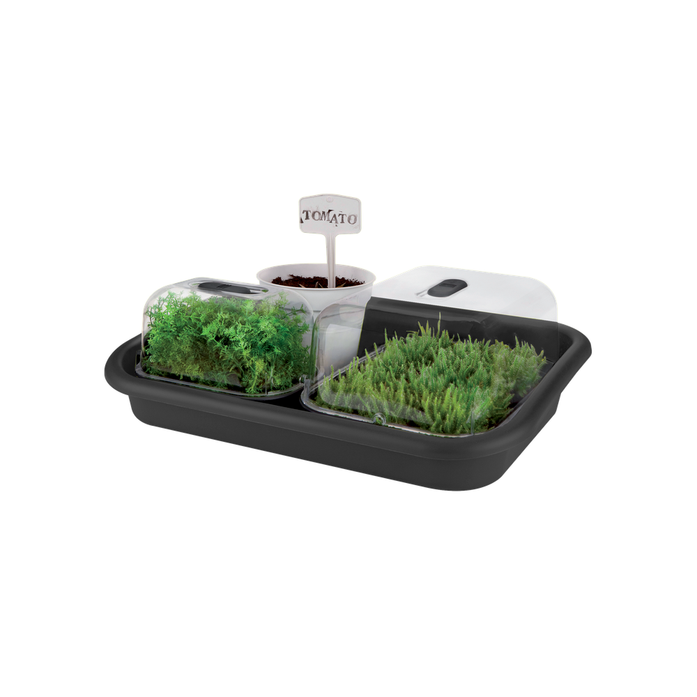 Green Basics Plateau Jardin 59
