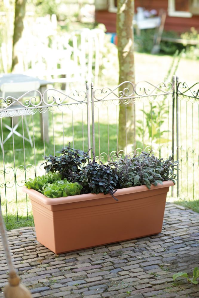 Green Basics Jardin Xxl 80