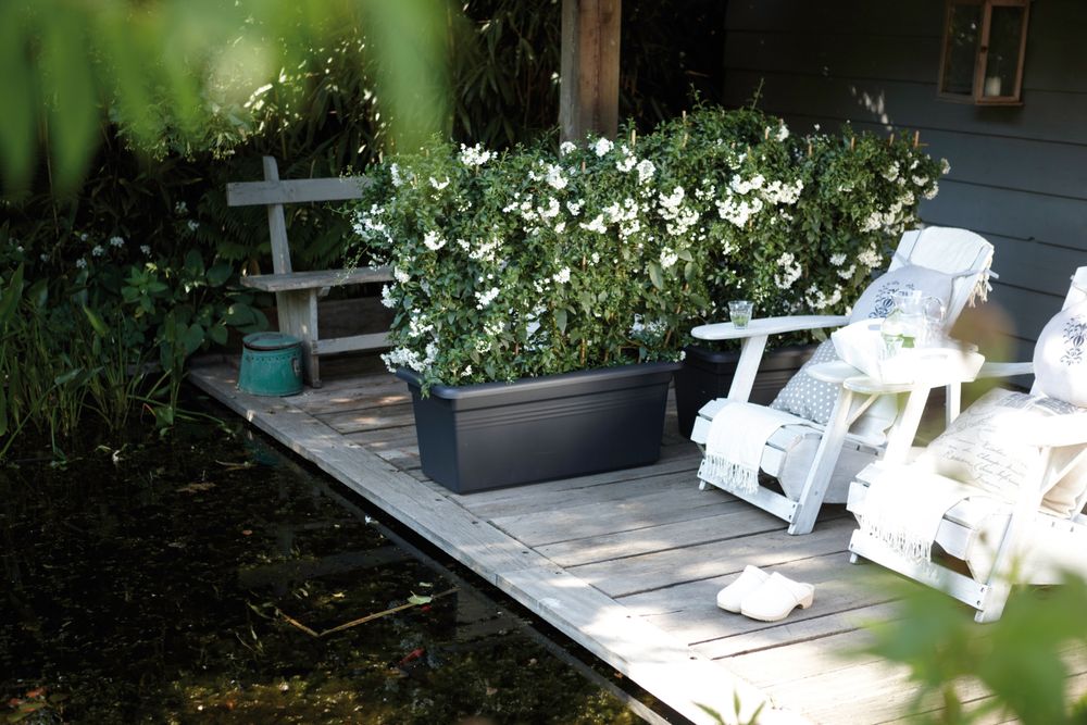 Green Basics Jardin Xxl 100