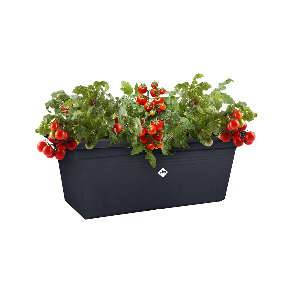Green Basics Jardin Xxl 60