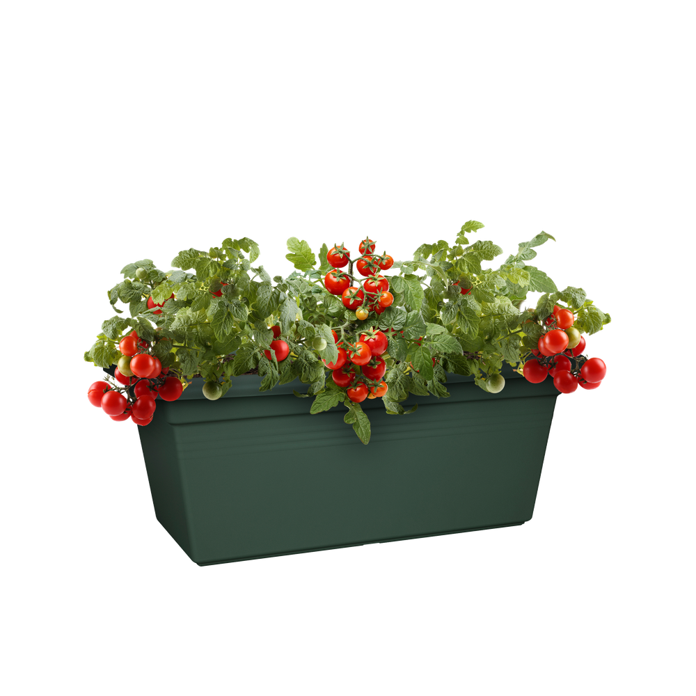 Green Basics Jardin Xxl 80
