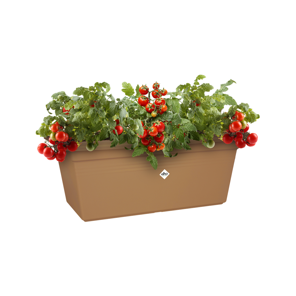 Green Basics Jardin Xxl 60