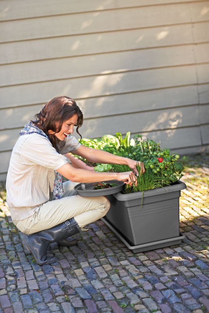 Green Basics Jardin Xxl 80