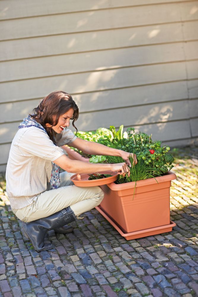Green Basics Jardin Xxl Soucoupe 60