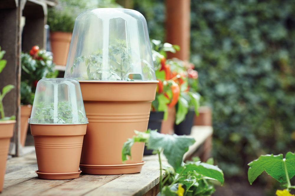 Green Basics Serre De Culture Rond 17