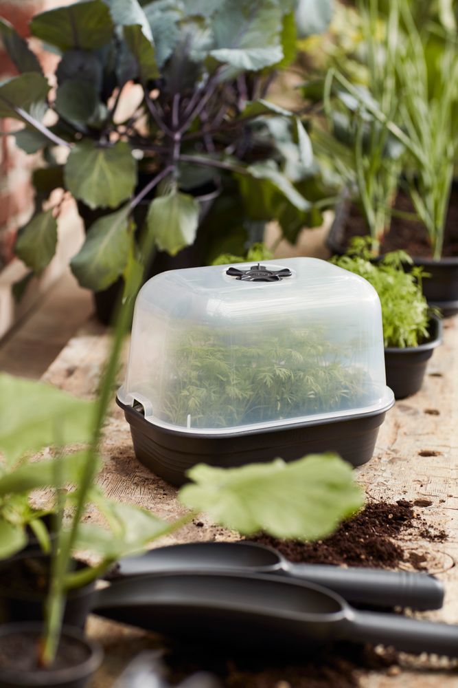 Green Basics Plateau Culture Soucoupe S
