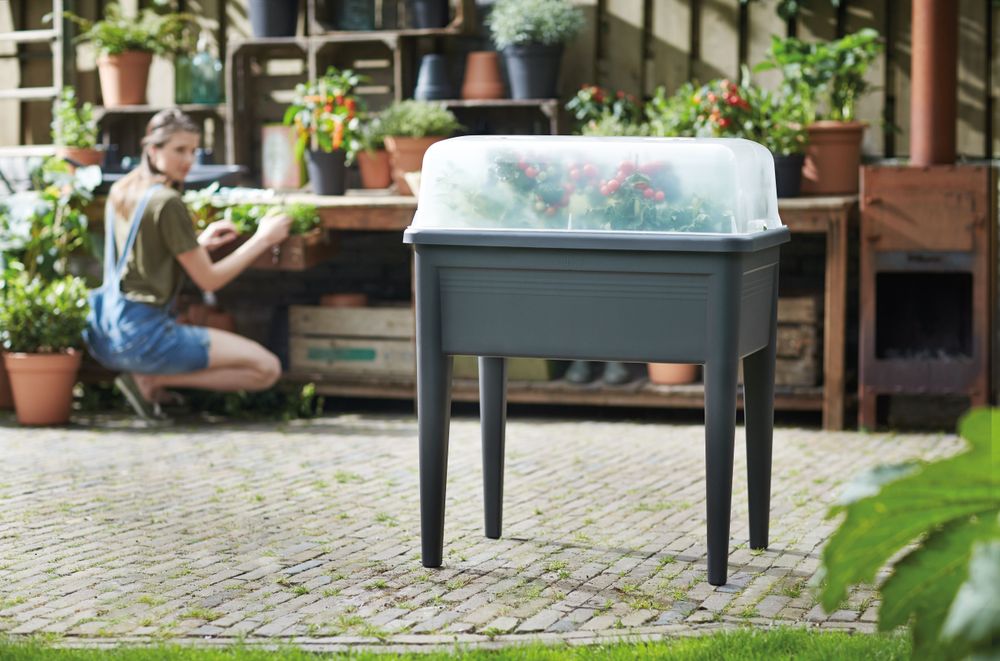 Green Basics Serre De Culture Xxl 75