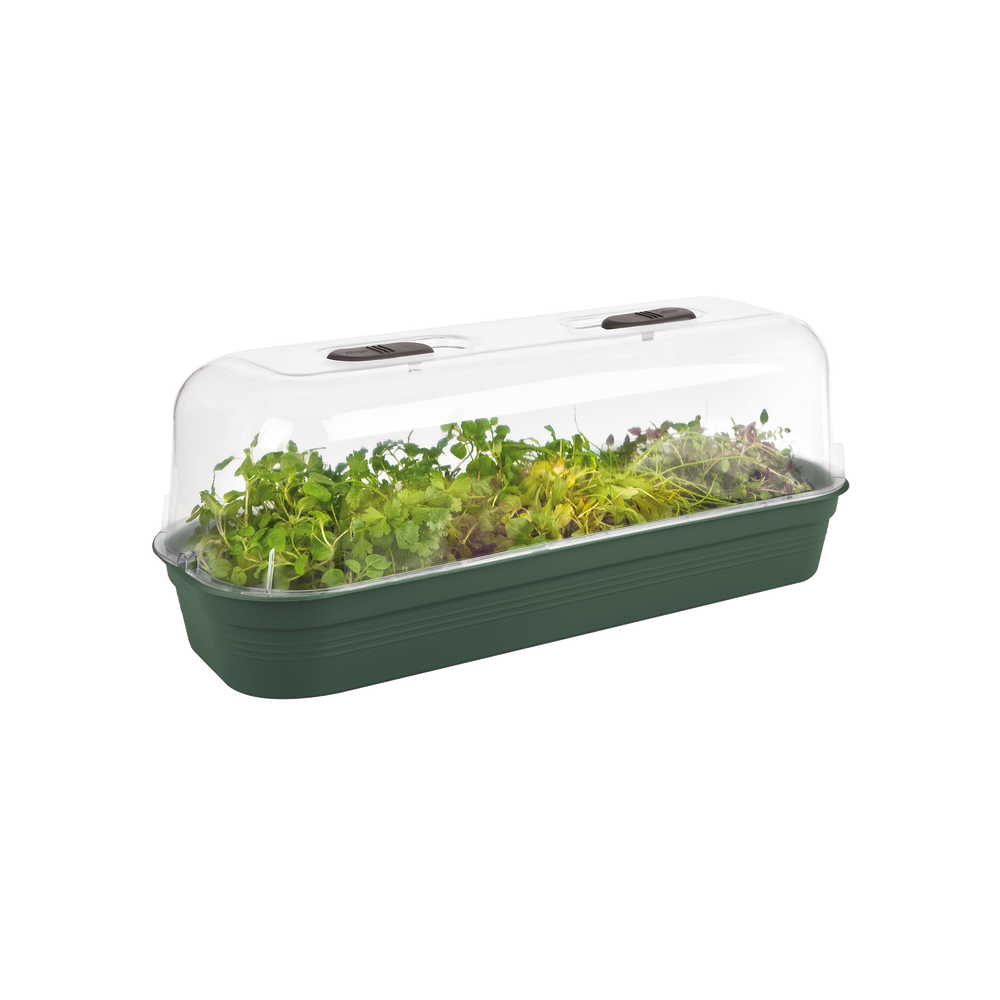 Green Basics Plateau De Culture L