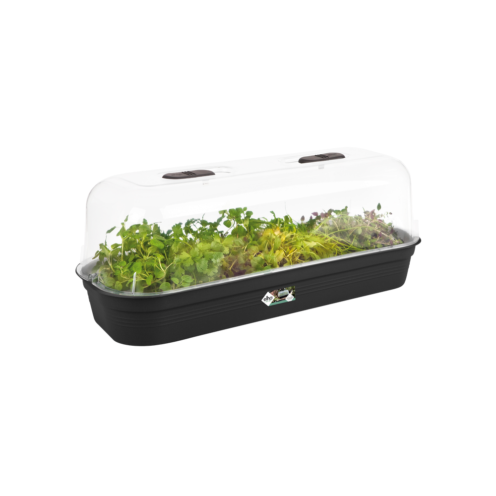 Green Basics Plateau De Culture L