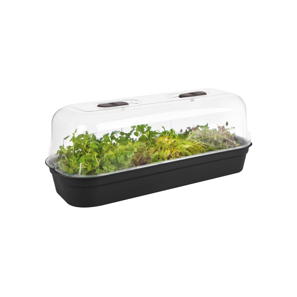 Green Basics Plateau De Culture L
