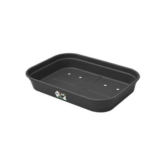 Green Basics Plateau De Culture M