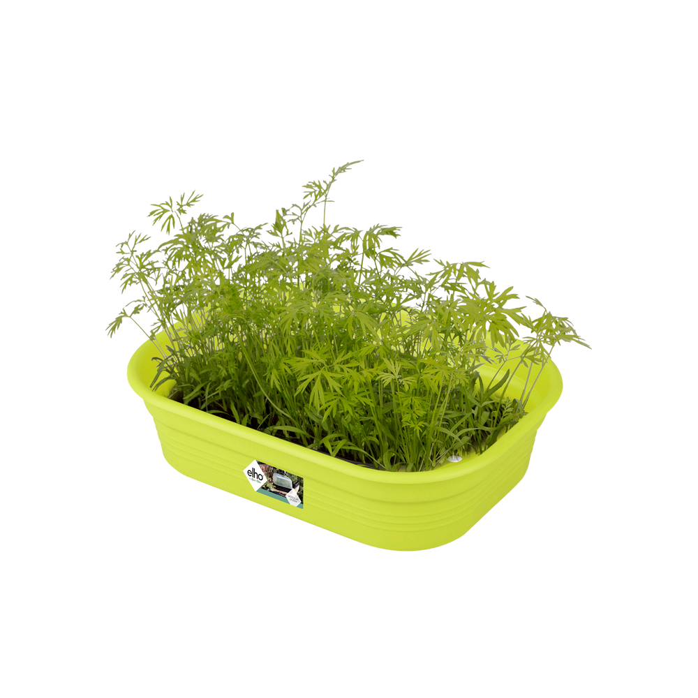 Green Basics Plateau De Culture S
