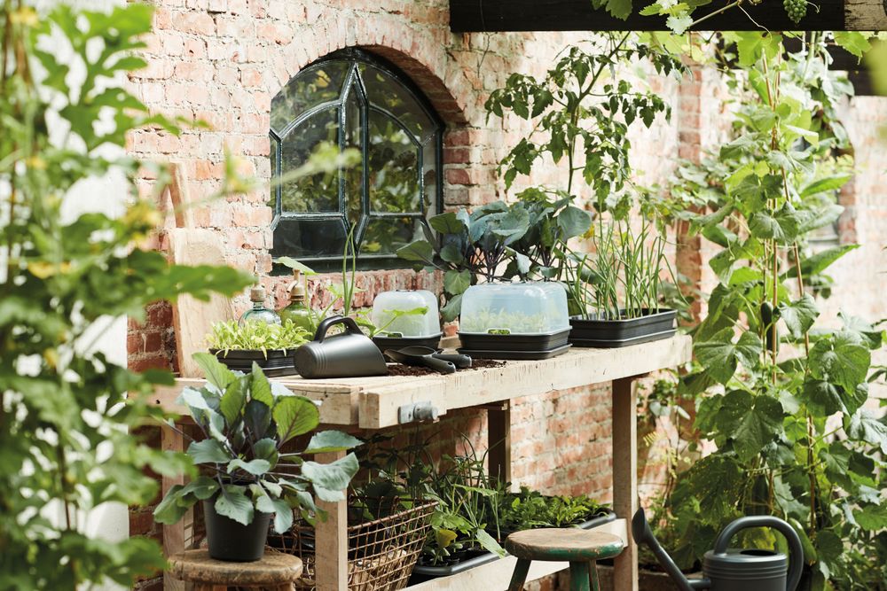 Green Basics Serre De Culture M