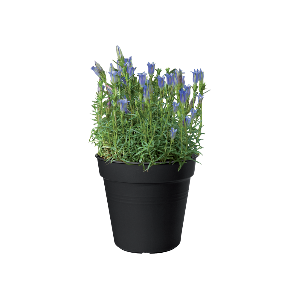 BNDL Gb Pot De Culture 17+ Souc. 14  X 5