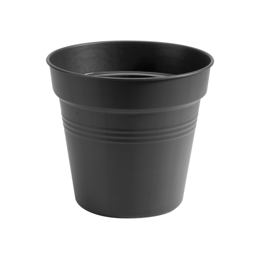 Green Basics Pot De Culture 17