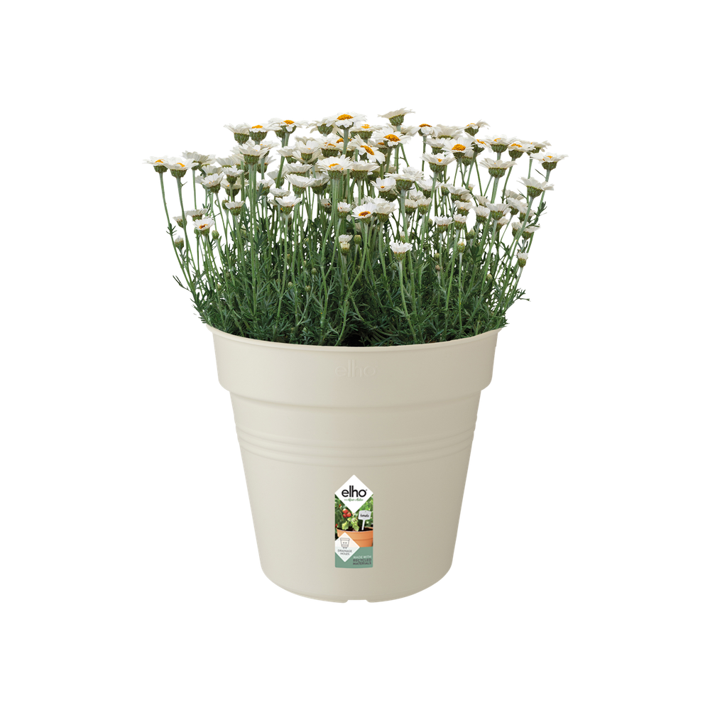 Green Basics Pot De Culture 30