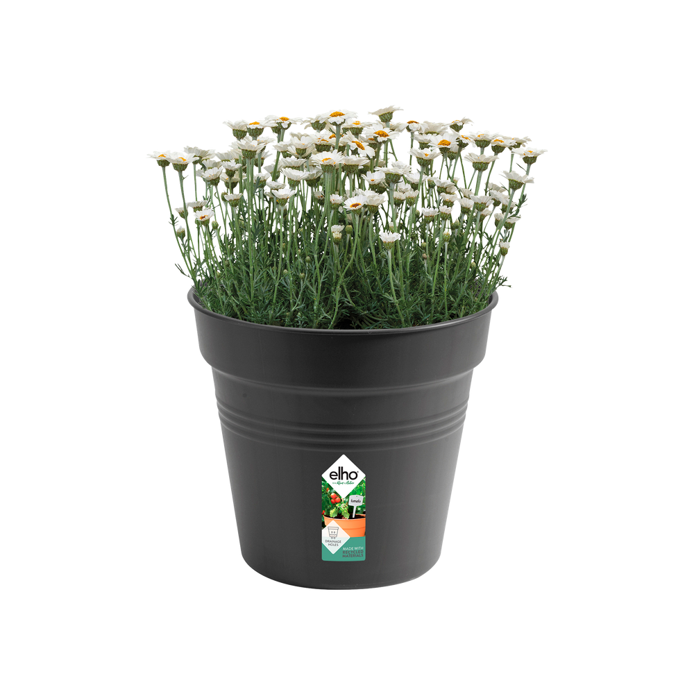 Green Basics Pot De Culture 30