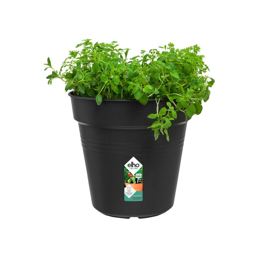Green Basics Pot De Culture 24