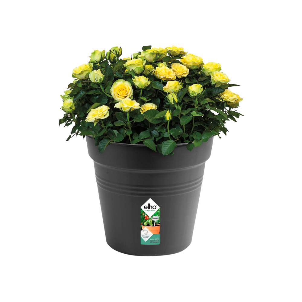 Green Basics Pot De Culture 40