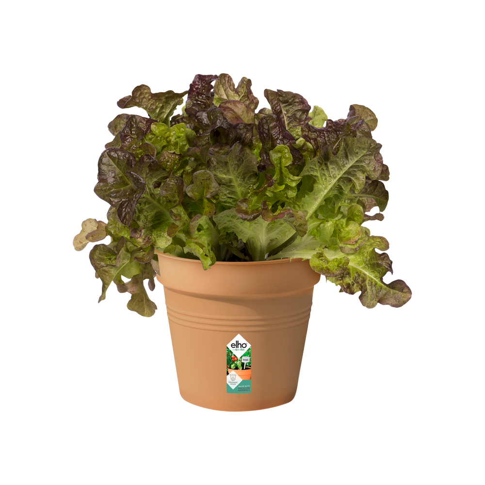 Green Basics Pot De Culture 15