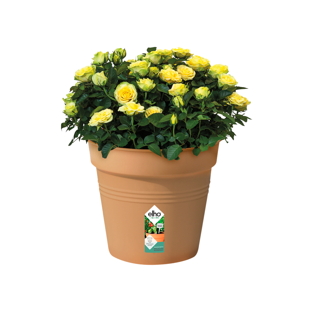 Green Basics Pot De Culture 40