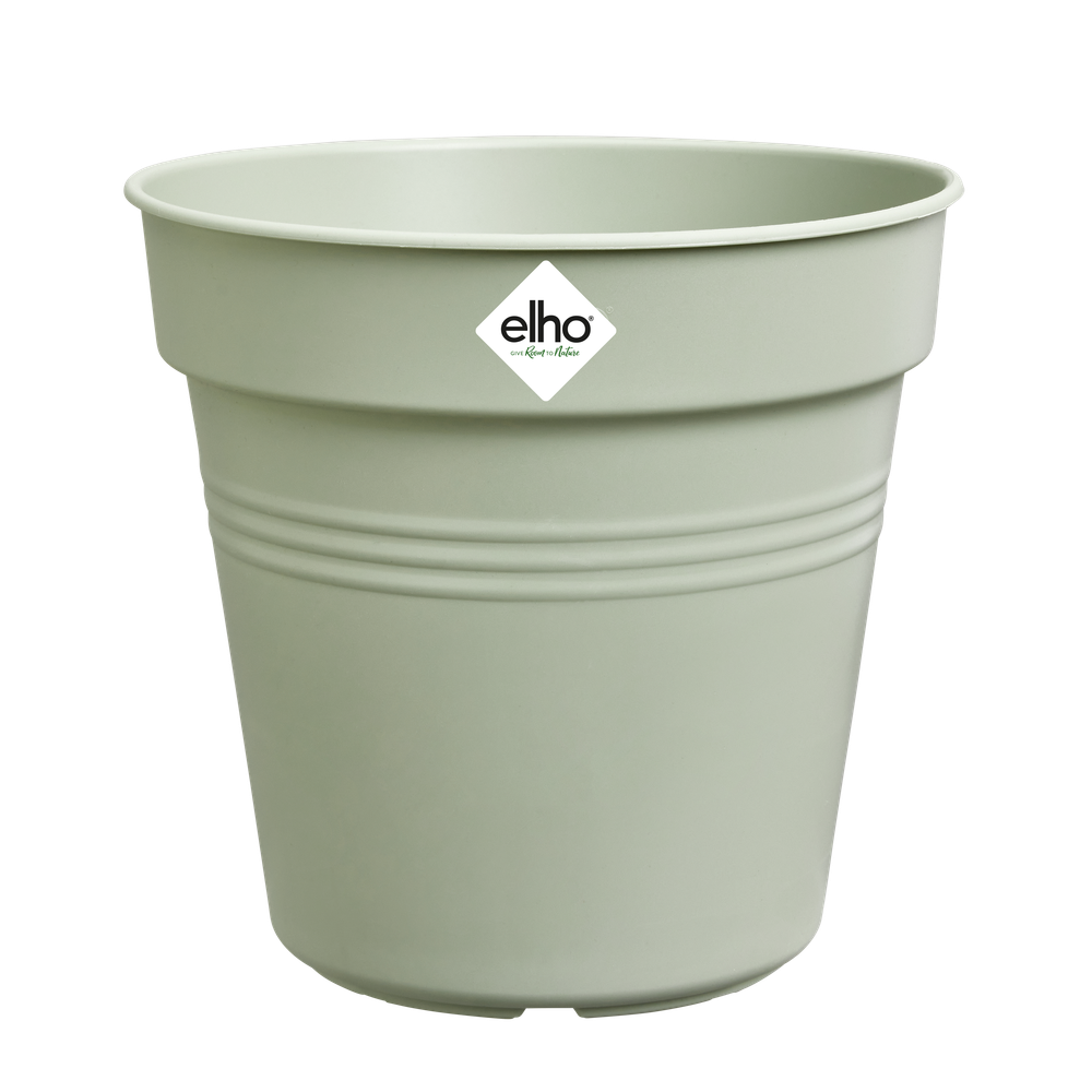 Green Basics Pot De Culture 11