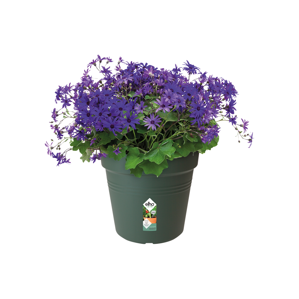 Green Basics Pot De Culture 17