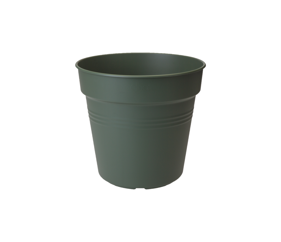 Green Basics Pot De Culture 19