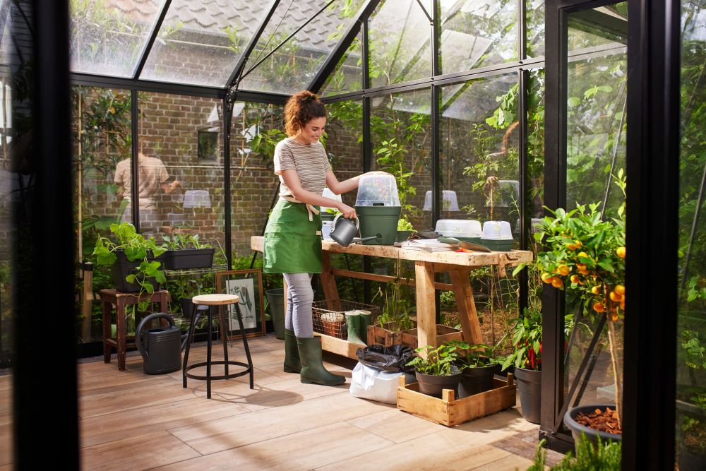Green Basics Plateau De Culture Allin1 L