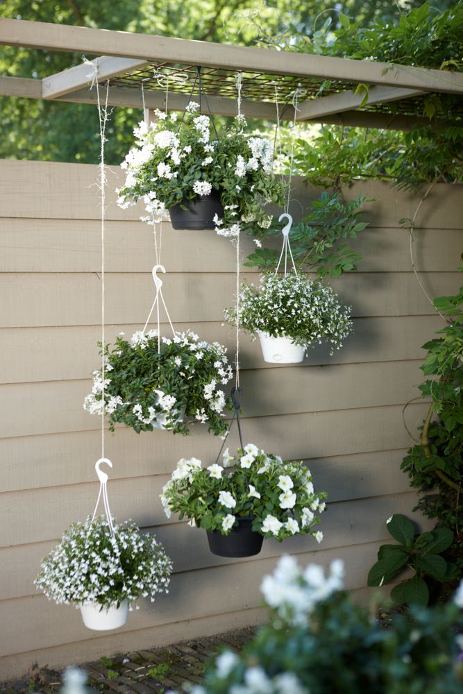 Green Basics Suspension 28