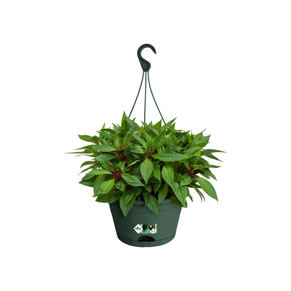 Green Basics Suspension 28
