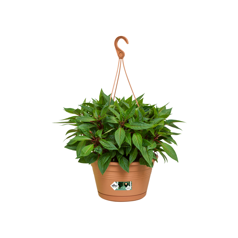 Green Basics Suspension 28
