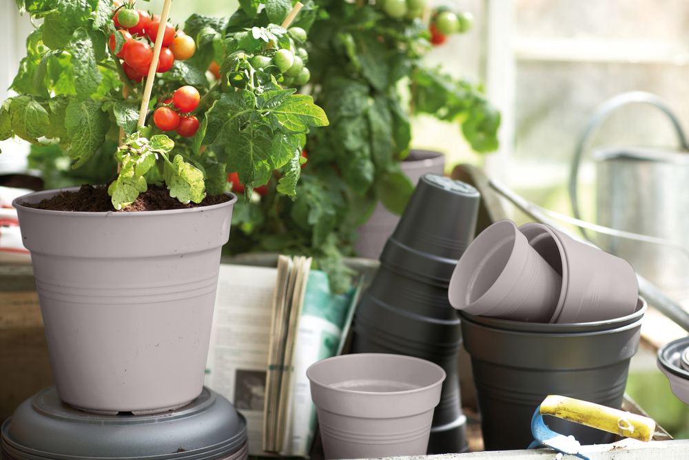 Green Basics Pot De Culture 13