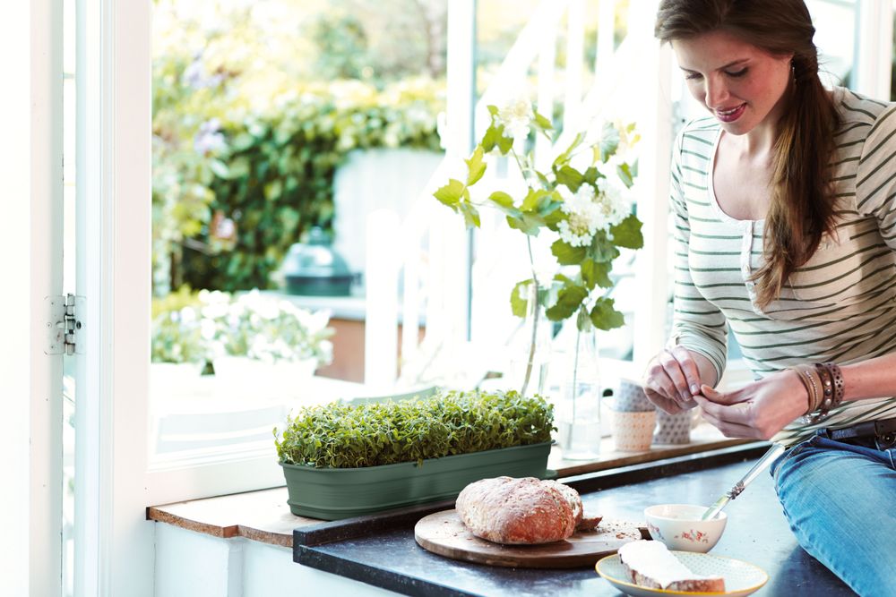 Green Basics Plateau De Culture L