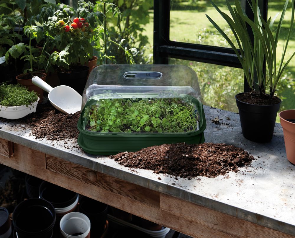 Green Basics Plateau De Culture M